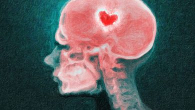 چگونه مغز، درد دل شکستن را می فهمد؟