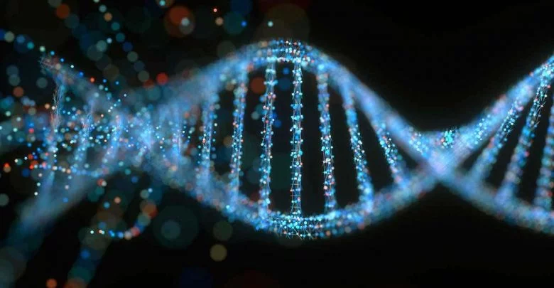 DNA چیست؟