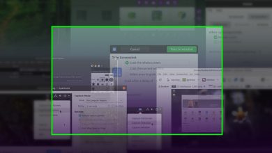 چگونه در محیط لینوکس اسکرین شات بگیریم؟