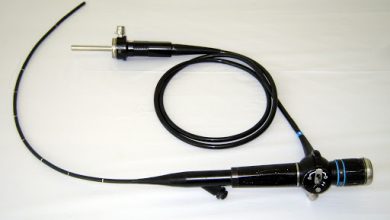 نایژه بین چیست؟