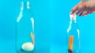 چگونه یک تخم مرغ را درسته داخل یک بطری کنیم؟