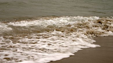 چرا امواج دریا بعد از شکسته شدن کف می کنند؟