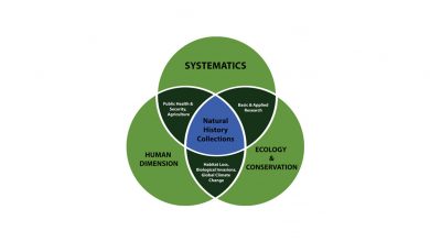 علم سیستماتیک: مطالعه تاریخ تنوع حیات