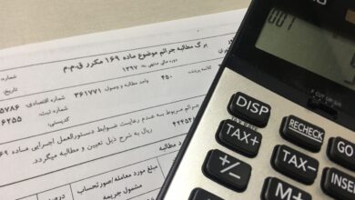 جرائم ماده 169 شامل چه مواردی است؟