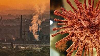 آیا آلودگی هوا با بیماری کرونا رابطه مثبت دارند؟