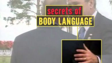 اسرار زبان بدن: حرکات ما چگونه خواسته ها و احساسات مان را منتقل می کنند؟