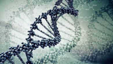 منظور از DNA آشغال چیست؟