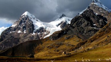 با خدمات زیست بومی کوهستان ها آشنا شوید