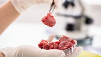 پرورش گوشت در آزمایشگاه چگونه انجام میشود؟