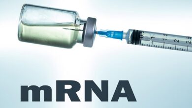 آیا واکسنهای mRNA میتوانند به درمان سرطان کمک کنند؟