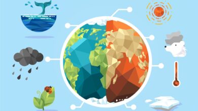 منظور از آب و هوا (اقلیم) چیست؟
