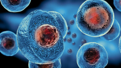 منظور از سلول‌های بنیادی چیست؟