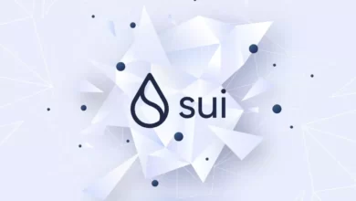 سویی چیست؟ آشنایی با شبکه سویی و فناوری جدید آن