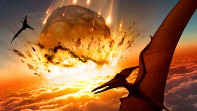 دایناسورها چقدر بدشانس بودند؟