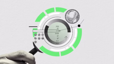 نبض: اخبار اقتصاد و بازار جهانی