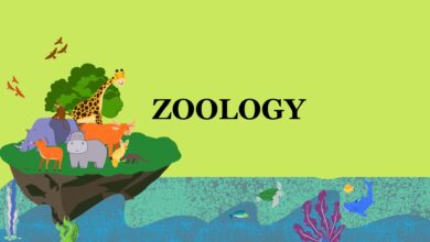 منظور از جانورشناسی چیست؟