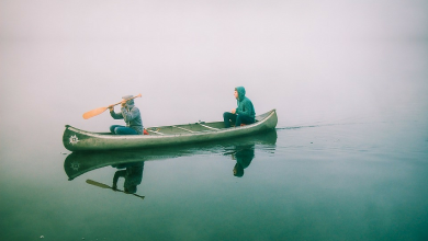 از تنبلی تا عمل گرایی راهی نیست
