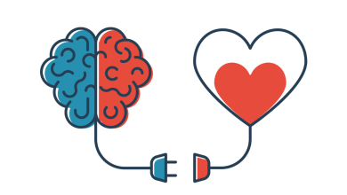هوش هیجانی چیست و چه تاثیری در موفقیت فردی دارد؟